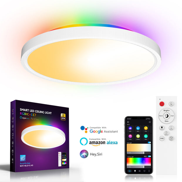 Smart Wifi Bluetooth Remote Control Dimming Magic Color Ceiling Light